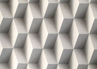 Colro grigio 3D si dirige la carta da parati smontabile, carta da parati moderna geometrica di effetto 3D